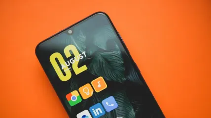 Lady Love Bingo Casino Mobile App